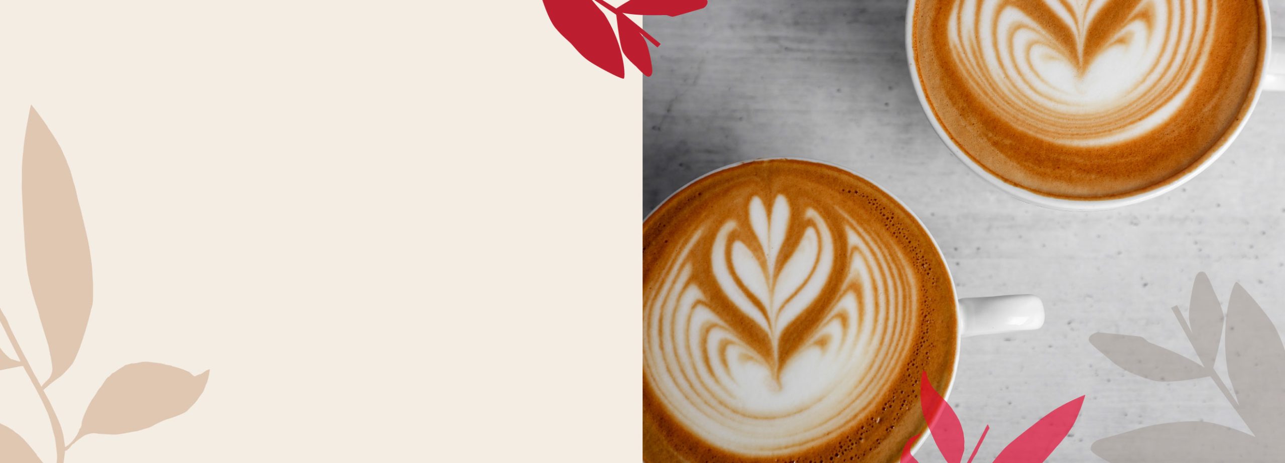 Degusta las novedades de nuestro café, chocolate caliente y pastelería de calidad en Bonafide